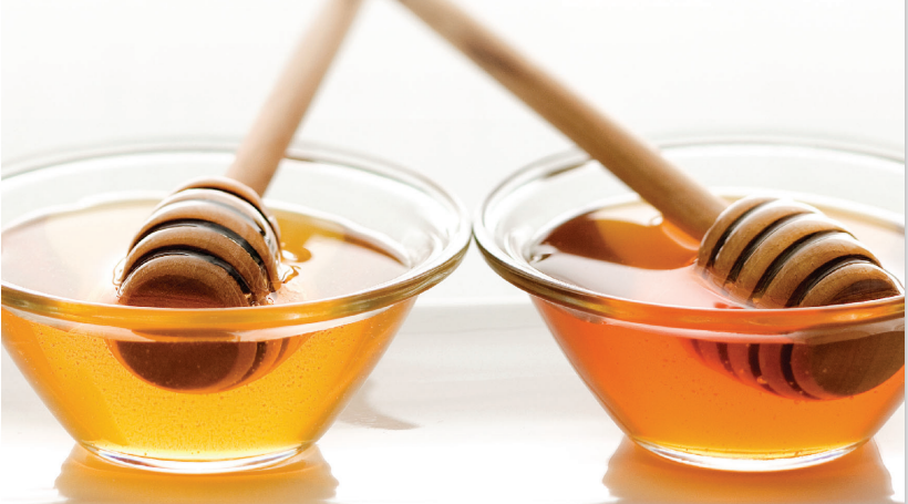 加拿大艾伯塔省农业投资机会介绍及农产品贸易推介报名广州中食展