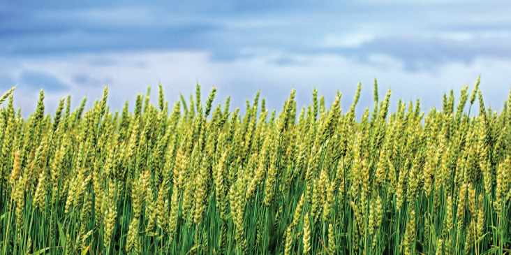 加拿大艾伯塔省农业投资机会介绍及农产品贸易推介报名广州中食展