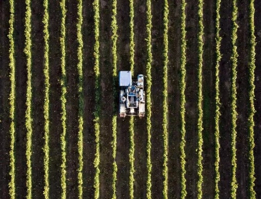 六大创新技术 助力全球粮食供应