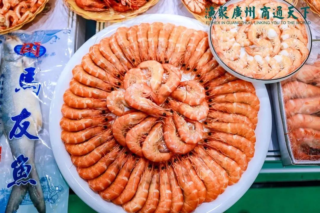 新年新开局！共赴2024中食展®广州(Food2China Expo)“热辣滚烫”新征程
