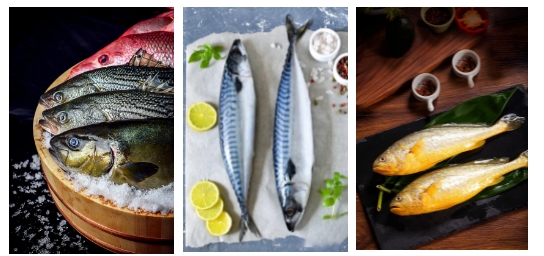 展商推荐|海洋美味跃上餐桌，射阳县特产汇佳水产邀您共聚2024中食展®广州