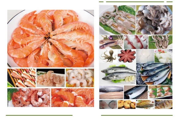 展商推荐|海洋美味跃上餐桌，射阳县特产汇佳水产邀您共聚2024中食展®广州