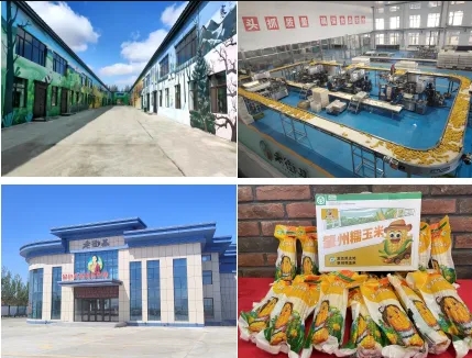 展商推荐|大庆老街基农副产品有限公司邀您共聚2024中食展®广州