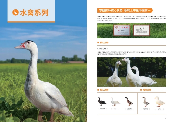 中国500强标杆企业：温氏食品集团股份有限公司携实力产品震撼亮相2024中食展®广州！