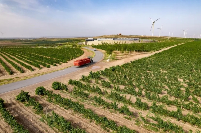 展商推荐|贺兰山下的自然佳酿，宁夏西鸽酒庄有限公司邀您共聚2024中食展®广州