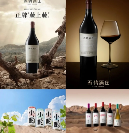 展商推荐|贺兰山下的自然佳酿，宁夏西鸽酒庄有限公司邀您共聚2024中食展®广州