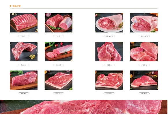 中国500强标杆企业：温氏食品集团股份有限公司携实力产品震撼亮相2024中食展®广州！