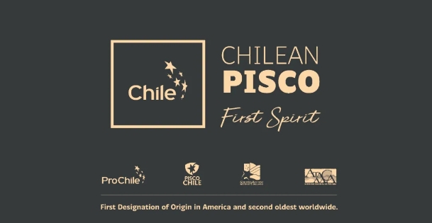 不容错过！Master Class大师班邀您一同揭开智利国酒——皮斯科酒的神秘面纱